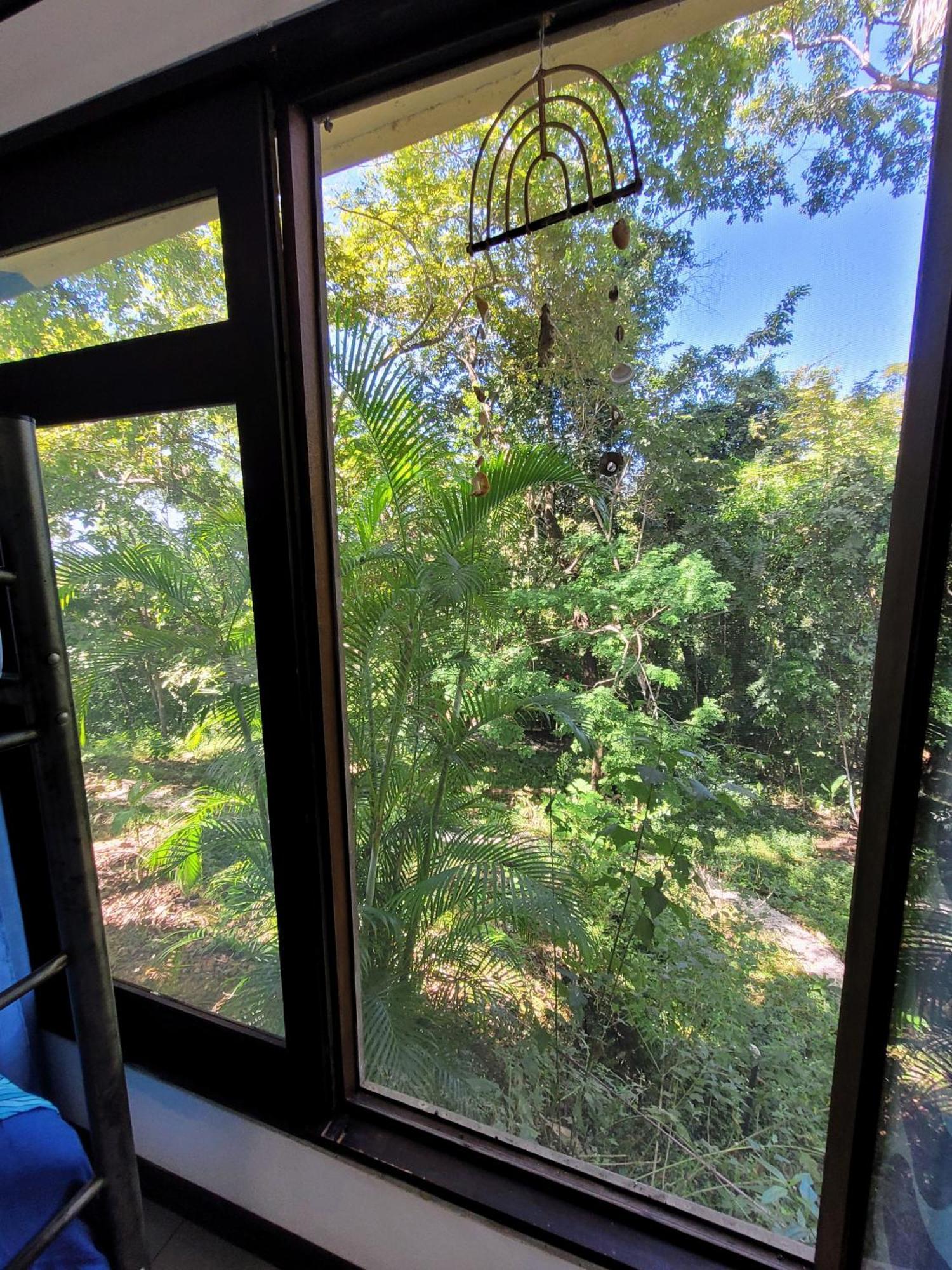 Villa Martina Palmgarden Sámara 외부 사진