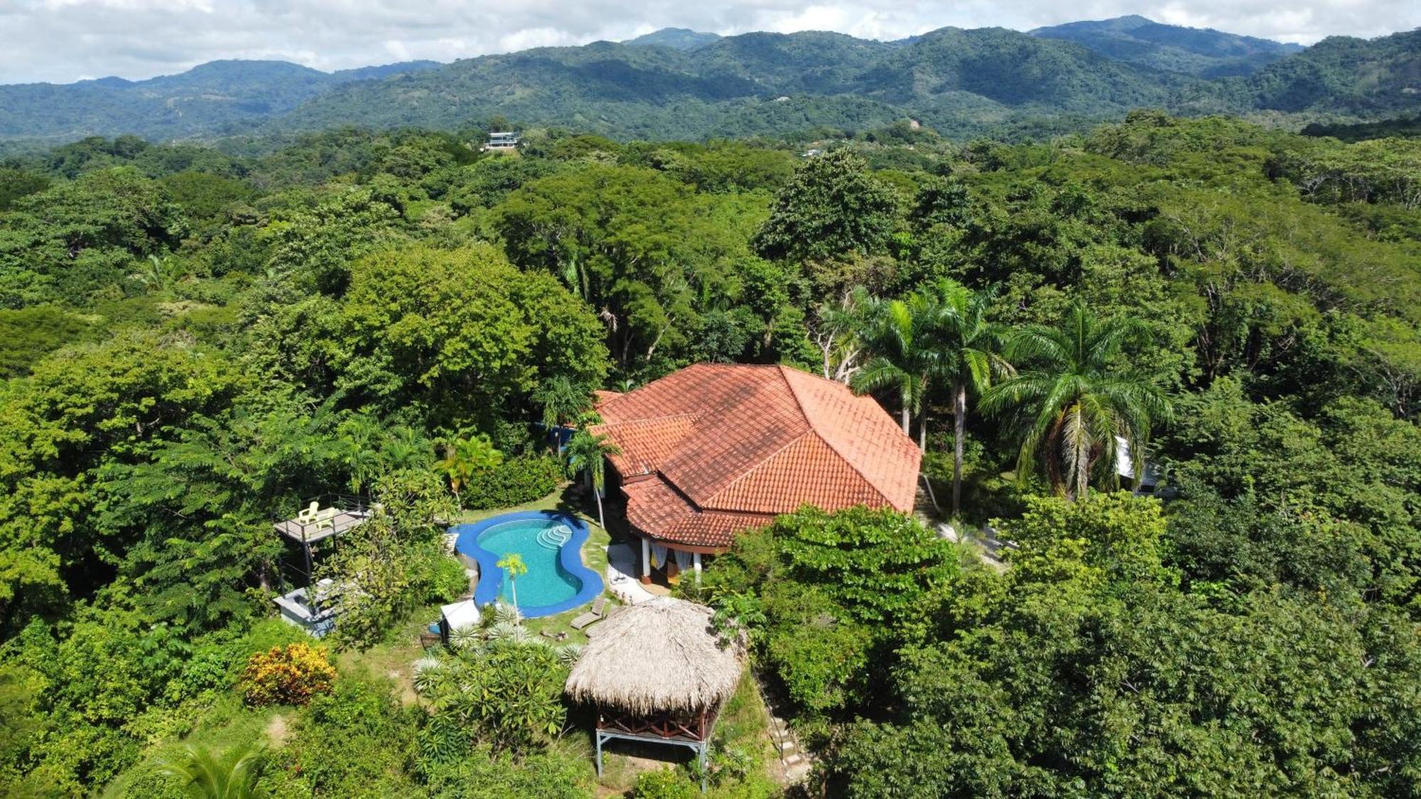 Villa Martina Palmgarden Sámara 외부 사진