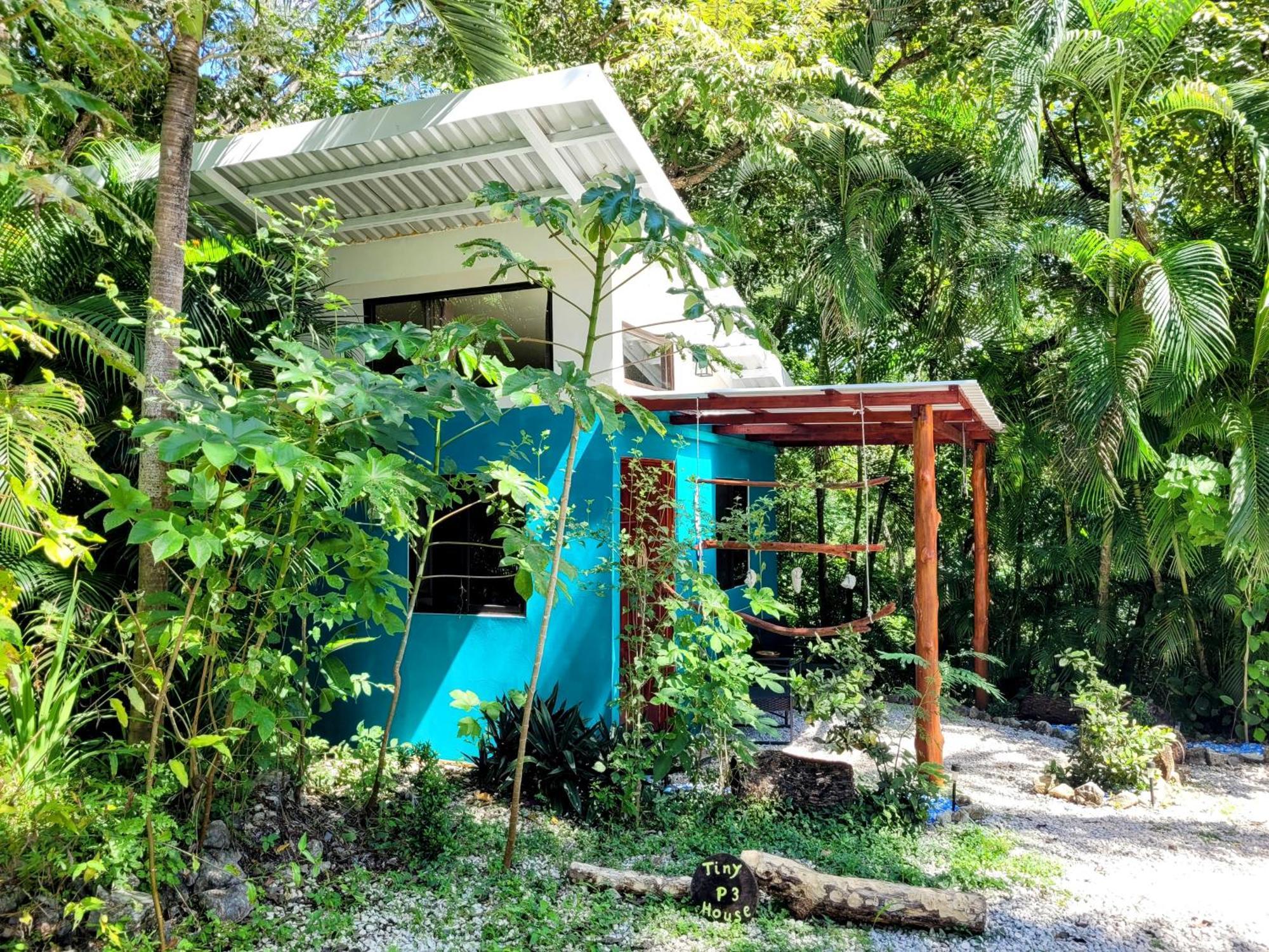 Villa Martina Palmgarden Sámara 객실 사진