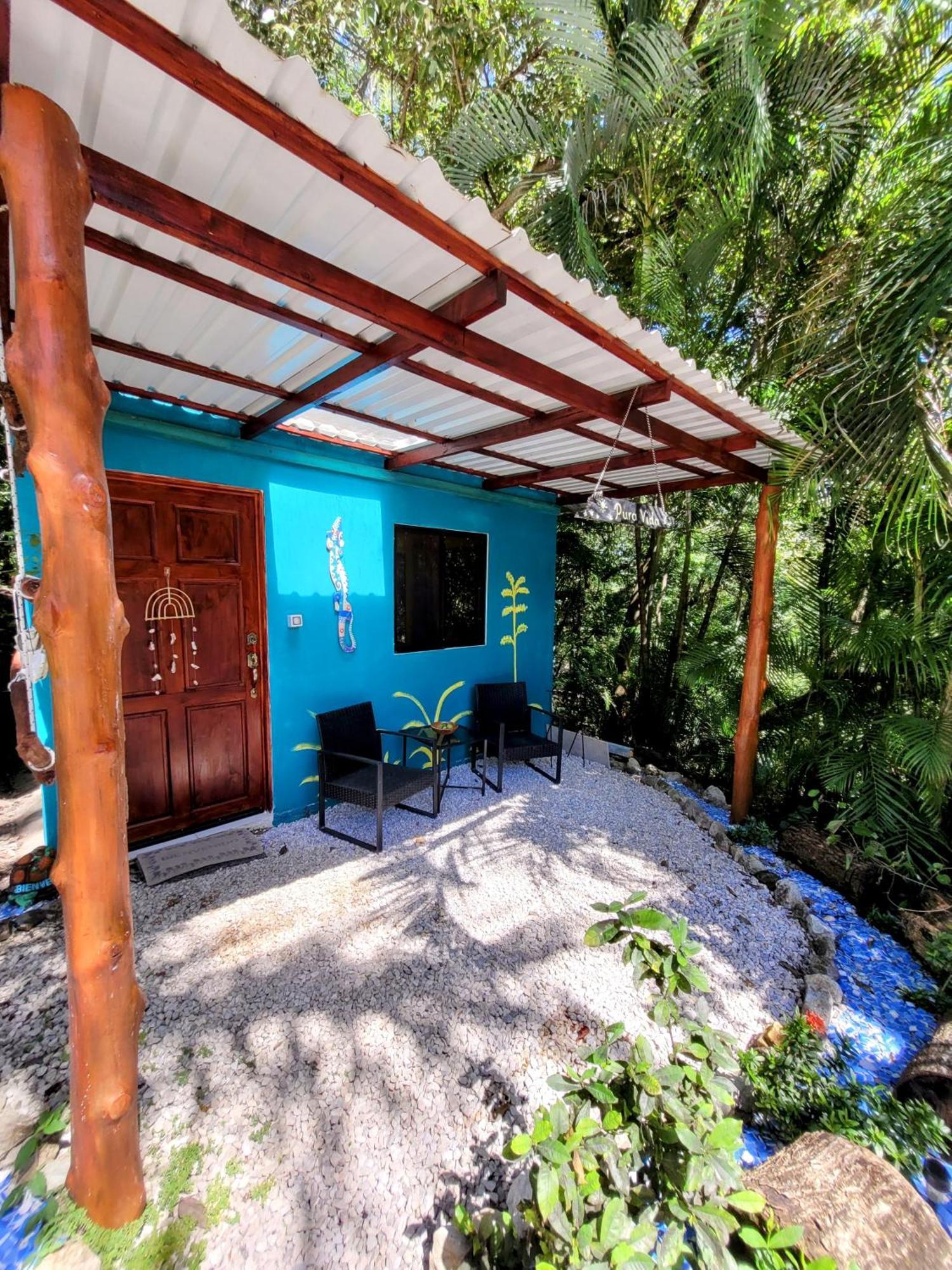 Villa Martina Palmgarden Sámara 객실 사진